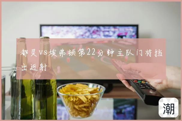 都灵vs埃弗顿第22分钟主队门将挡出近射