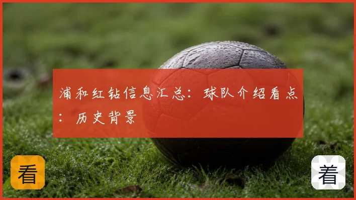 浦和红钻信息汇总：球队介绍看点：历史背景